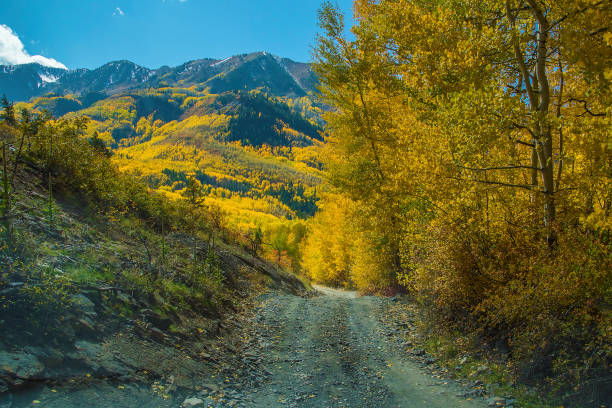 istock Aspen area 4x4 road through aspen trees to old mill 1139824922
