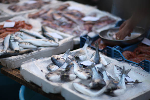 istock Trade in fresh fish in the market 1139826040