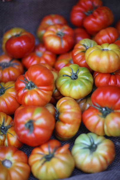 istock Tomatoes on the market counter 1139826151