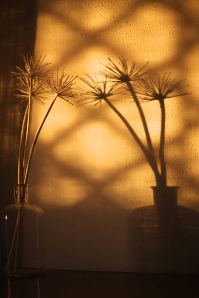 istock Bottle with dry stalks of plants 1139826943