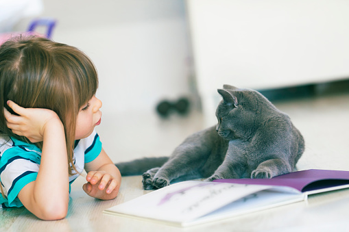 Cute child reading a book with his cat. Having fun in imaginary land.