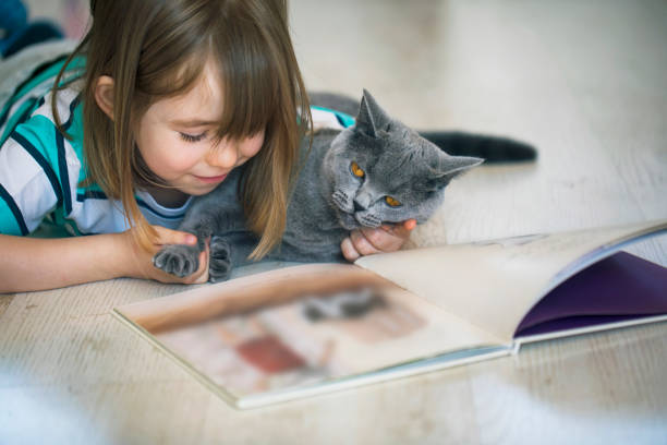 istock Cute child reading a book with his cat 1139827402