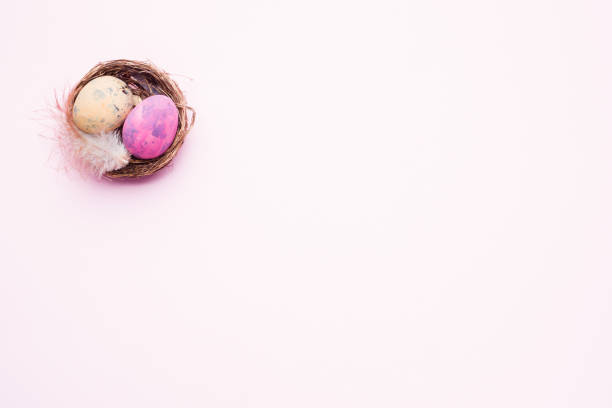istock Colorful easter egg in the nest on pink background with copy space. Easter background. Minimalism 1139827963