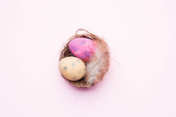 istock Colorful easter egg in the nest on pink background with copy space. Easter background. Minimalism 1139828550