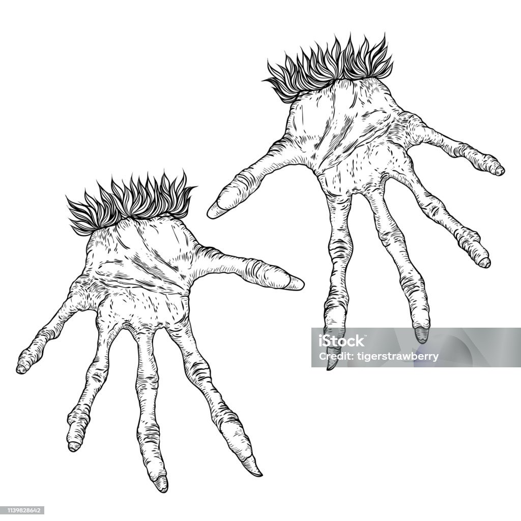 Halloween engraving drawings set of monsters hands, werewolf, witch, zombie, dragon, and vampire hands isolated on white background. Vector. Vector. Fear stock vector