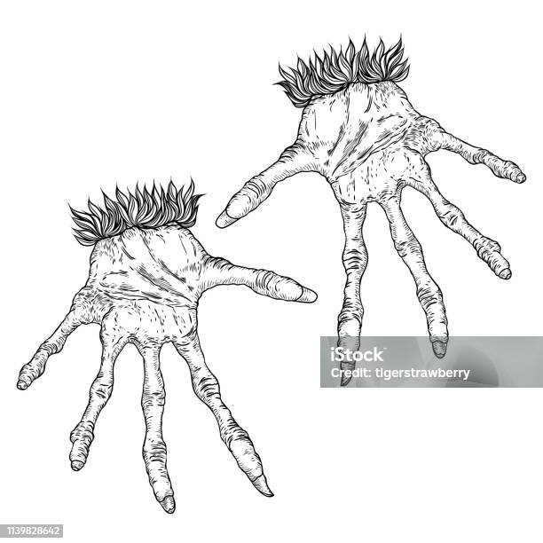 Halloween Engraving Drawings Set Of Monsters Hands Werewolf Witch Zombie Dragon And Vampire Hands Isolated On White Background Vector Stock Illustration - Download Image Now