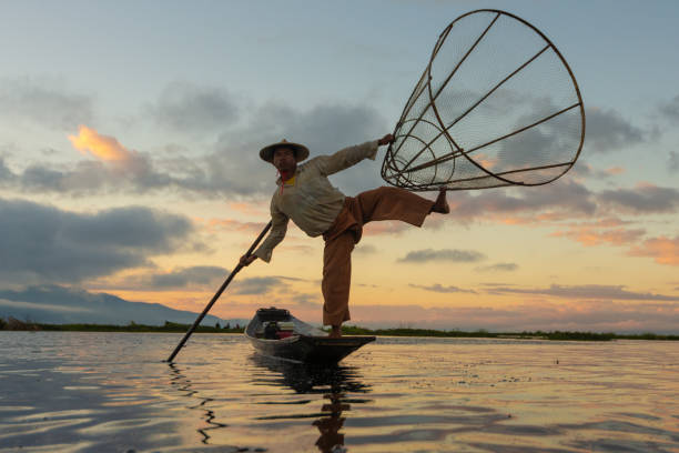 pescadores de intha no lago inle no nascer do sol, inle, estado de shan, myanmar. - inle lake agriculture traditional culture farmer - fotografias e filmes do acervo