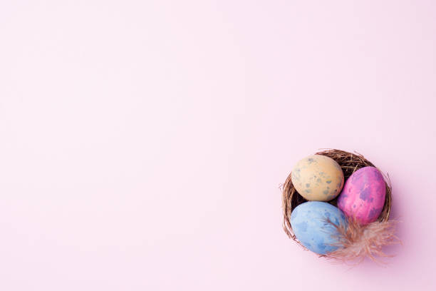 istock Colorful easter egg in the nest on pink background with copy space. Easter background. Minimalism 1139828953