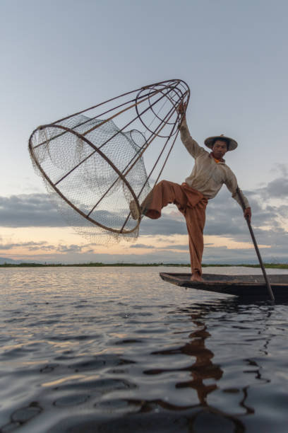 pescadores de intha no lago inle no nascer do sol, inle, estado de shan, myanmar. - inle lake agriculture traditional culture farmer - fotografias e filmes do acervo