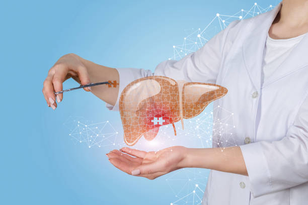 istock A doctor putting a puzzle into liver treatment model. 1139835701