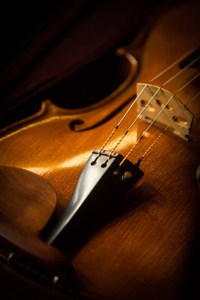 istock Vintage violin detail 1139838460