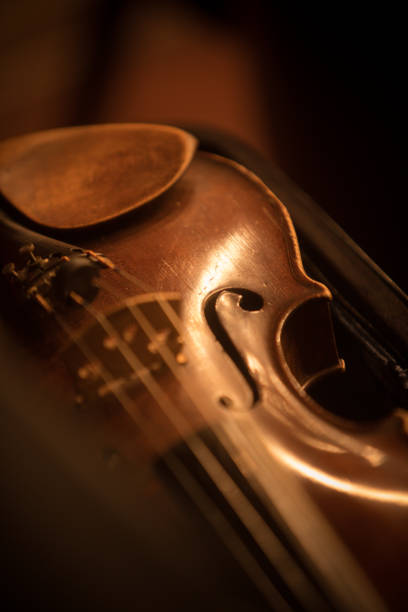 istock Vintage violin detail 1139838476