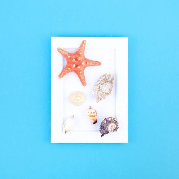 istock Summer travel vacations concept 1139841231