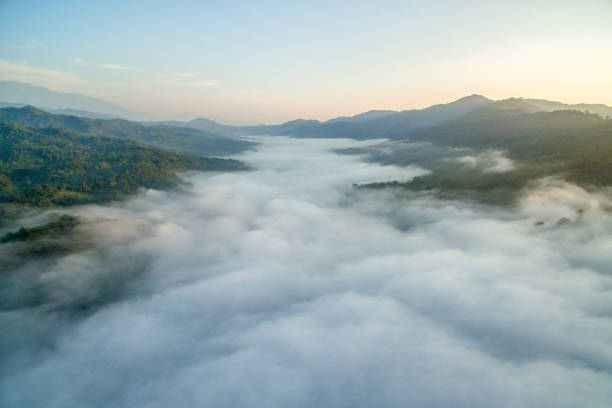 aerial view of Borneo jungle