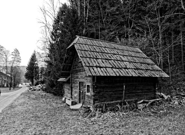 old cottage hut in forest black and white