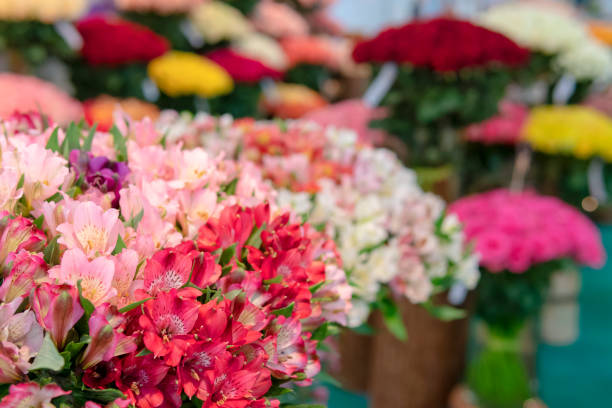 istock Red and pink flowers - background for a greeting card. 1139847341
