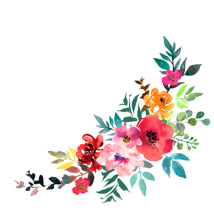 Ilustración de Ramo De Acuarela Dibujado A Mano Sobre Fondo Blanco Hermosas Flores Suaves En La Composición Rosas Vector y más Vectores Libres de Derechos de Flor - iStock Ilustración de Ramo De Acuarela Dibujado A Mano Sobre Fondo Blanco Hermosas Flores Suaves En La Composición Rosas Vector y más Vectores Libres de Derechos de Flor - iStock