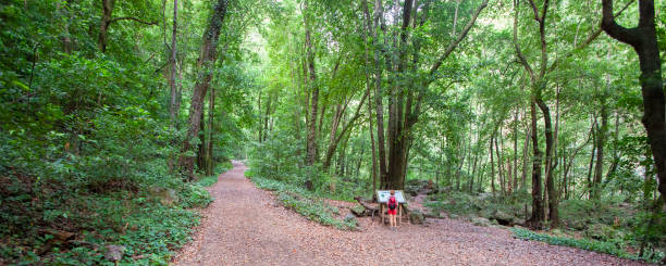 istock La Palma, Canary Islands (E): Footpath in the Los Tilos Reserve 1139849121