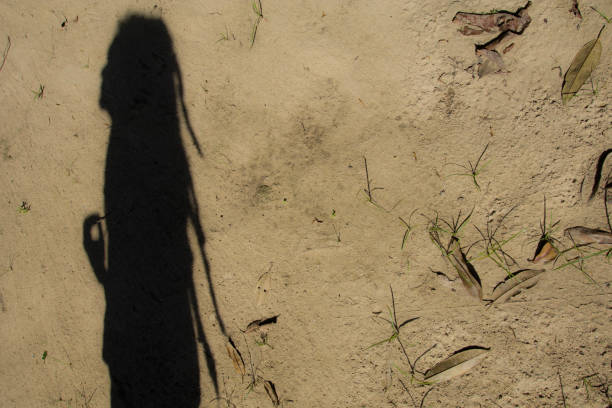 istock Shadows of people in various stance on soil background. 1139851213