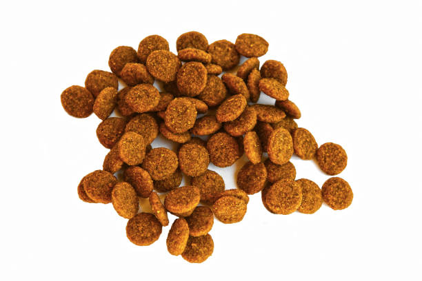 istock Dry food in granules for pets. 1139856331