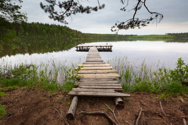 istock Wooden pier on the lake. Top frame pine branches 1139859825