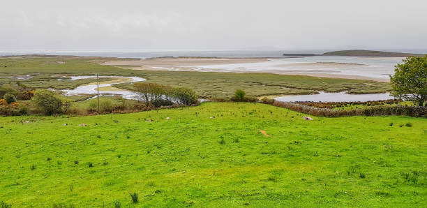 istock around Sky Road in Ireland 1139860326