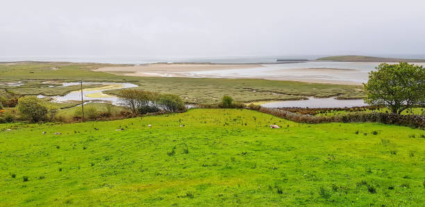 istock around Sky Road in Ireland 1139860886