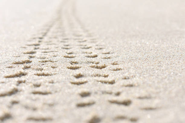Pattern on beach sand