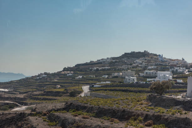 istock Vineyard farms in Santorini 1139865445