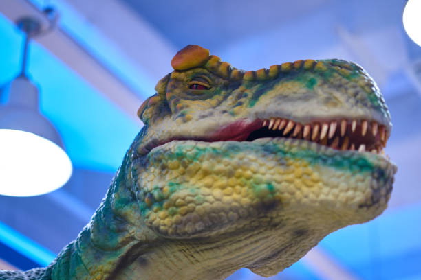istock Tyrannosaurus ,Dinosaur head shot 1139866880