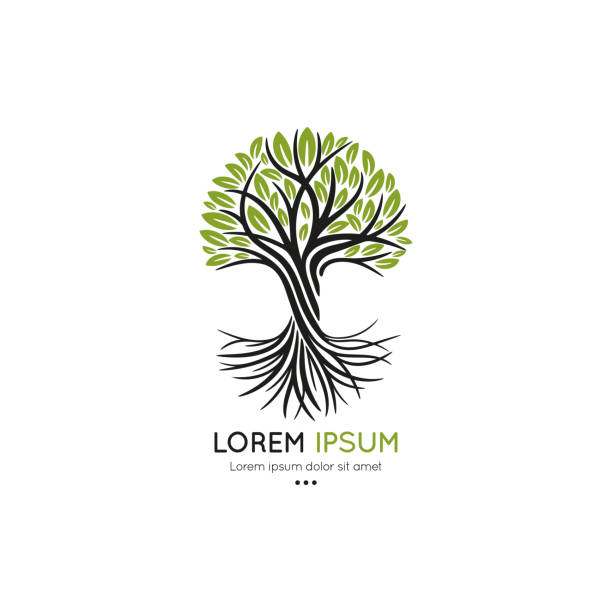 baumlogo. abstrakte und moderne illustration. isolierter vektor. ideal für emblem, monogramm, einladung, flyer, menü, broschüre, hintergrund oder jede gewünschte idee. - tree environment oak tree symbol stock-grafiken, -clipart, -cartoons und -symbole