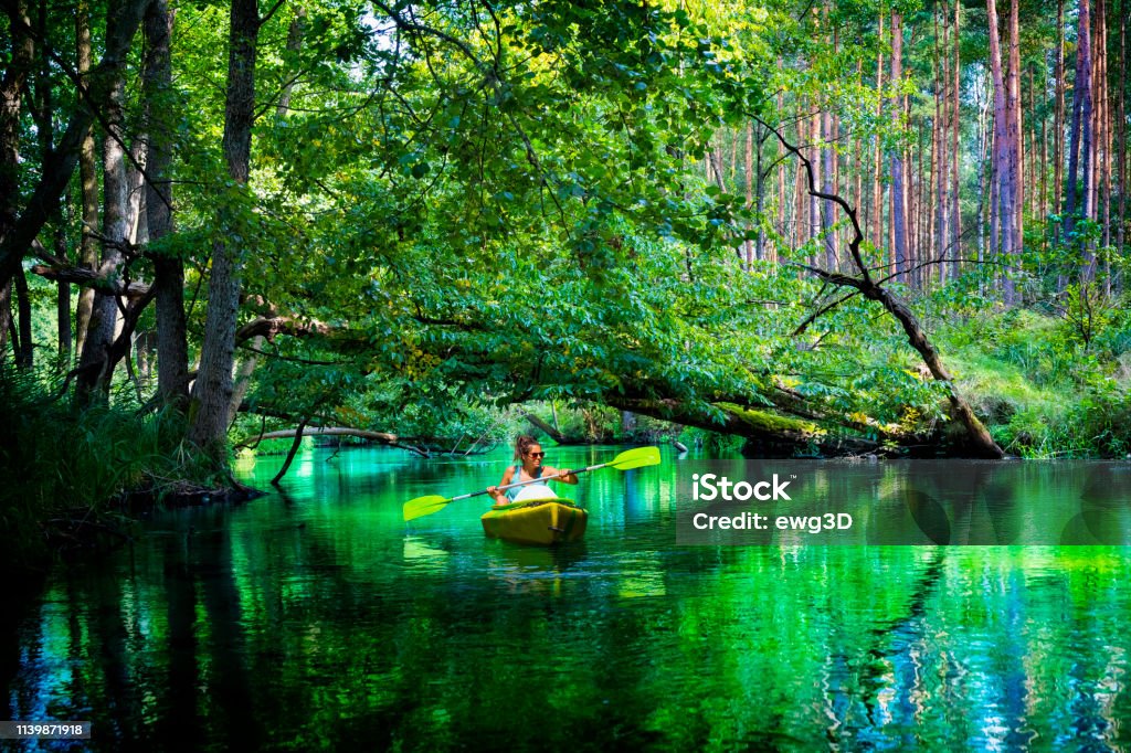 Summer holiday with a canoe in Poland Holiday with a canoe in Wda river, Kashubian region, Poland Kayaking Stock Photo