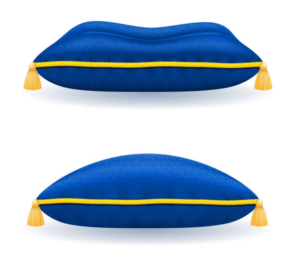 istock blue velvet pillow with gold rope and tassels vector illustration 1139872517