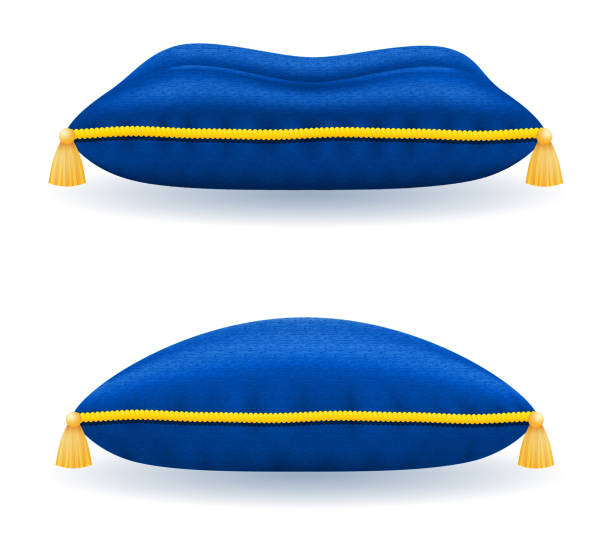 blue velvet pillow with gold rope and tassels vector illustration vector art illustration