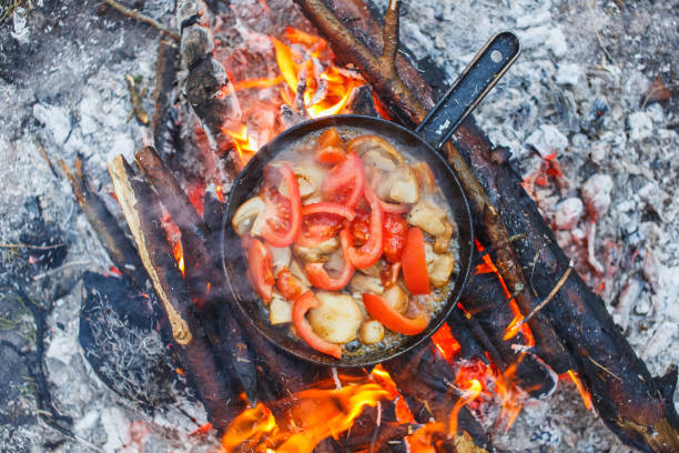 istock Cooking white mushrooms with tomatoes in a pan on a fire in the spring forest 1139875726