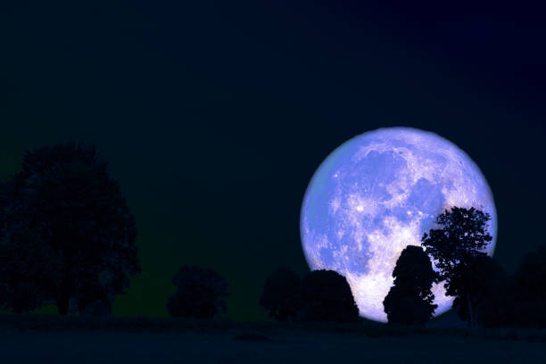 istock full flower moon back on silhouette plant and trees on night sky 1139875877