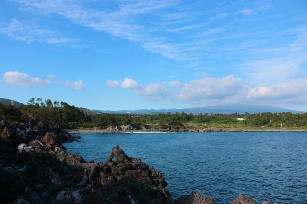 istock Jeju shore, lava, rock, 1139877579