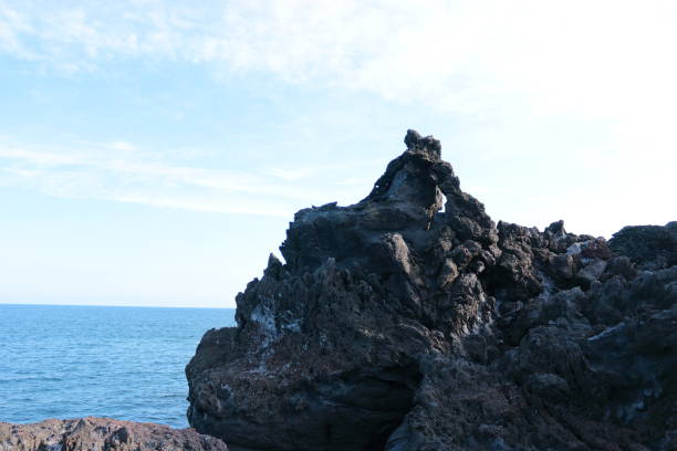 istock Jeju shore, lava, rock, 1139877606