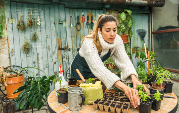 istock Gardener planting seeds 1139879577