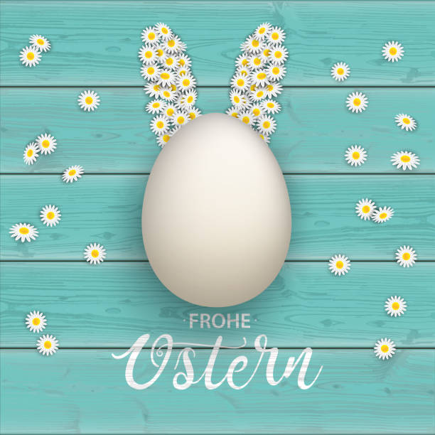 ostern paskalya yumurtası turkuaz daisy hare kulakları kapak - ostern stock illustrations