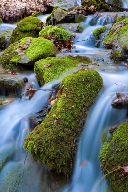 istock closeup water rushing over a stones 1139880985