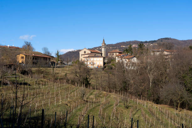 istock Landscape in the Curone park, Italy 1139881055