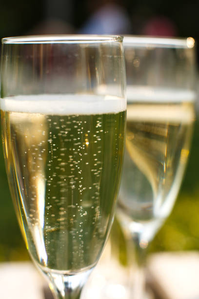 istock Glasses with champagne on green blurred background. Outdoors picnic weekends. 1139881156