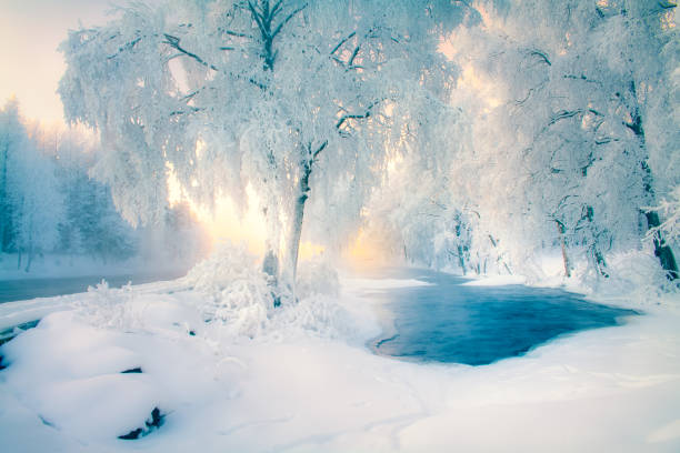 istock Snowy river view from River Pajakka. Kuhmo, Finland. 1139881524