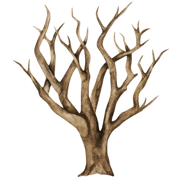 ilustraciones, imágenes clip art, dibujos animados e iconos de stock de acuarela seca, árbol desnudo - computer graphic image stick tree trunk