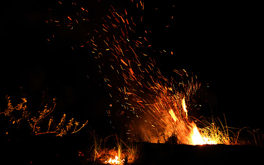 Burning fire at night outdoor in the nature.