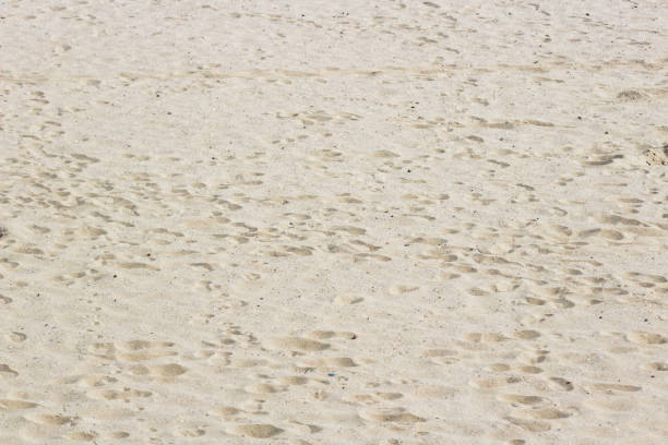 Wave on the sand beach background. Relaxing beach scene, summer vacation holiday template banner. Waves surf with amazing blue ocean lagoon, sea shore, coastline. Peaceful bright beach, seaside