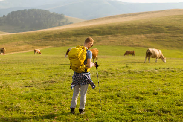 istock Handsome young red hair man hiking 1139884149
