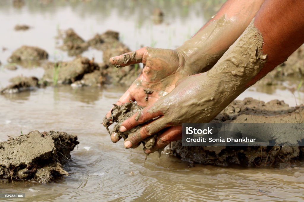 Human hand in mud Human hand in mud. Mud Stock Photo