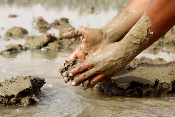 Photo of Human hand in mud